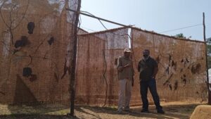 Formations of Adivasi Creative Ecologies